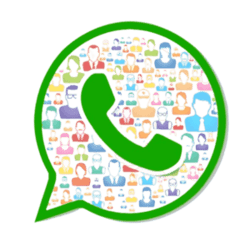software-company-manchar-pune-Digital-Marketing---Bulk-Whatsapp